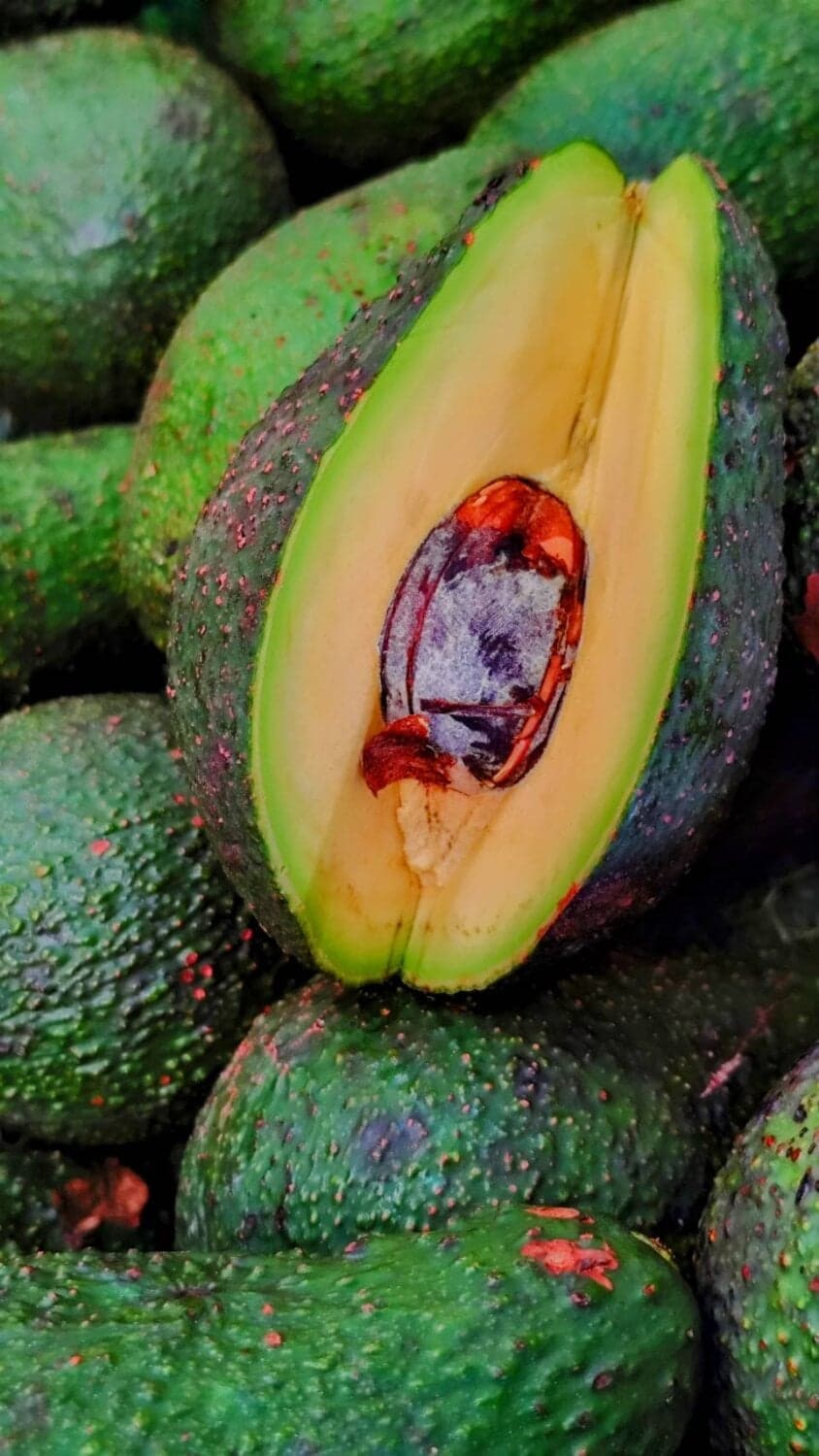 อโวคาโด พิงค์เพอร์ตัน อ.แม่ใจ