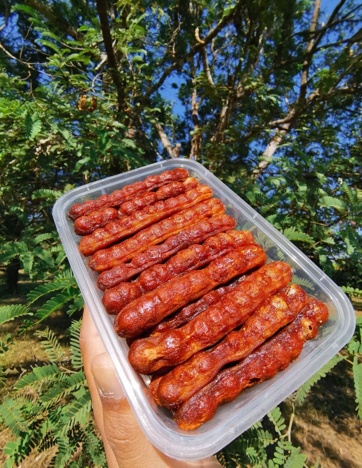 มะขามหวานแกะพร้อมทาน กล่องละ 500กรัม สายพันธุ์สีชมพู หรือ ศรีชมภู