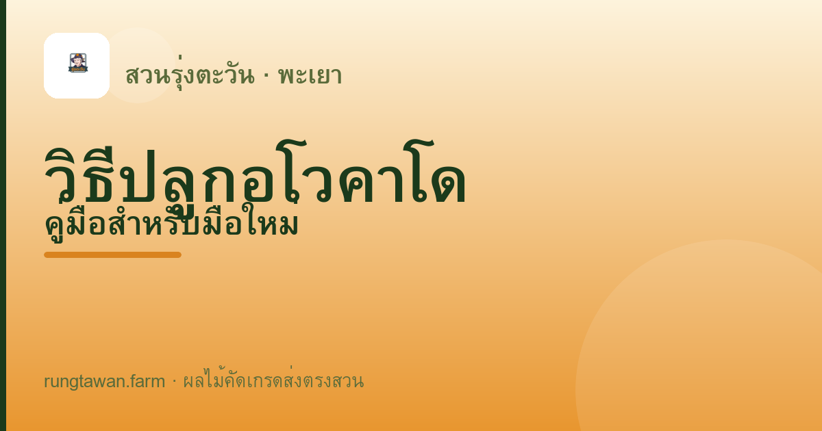 ปลูกต้นพันธุ์อะโวคาโดยังไงให้รอดปีแรก คู่มือทีละขั้น