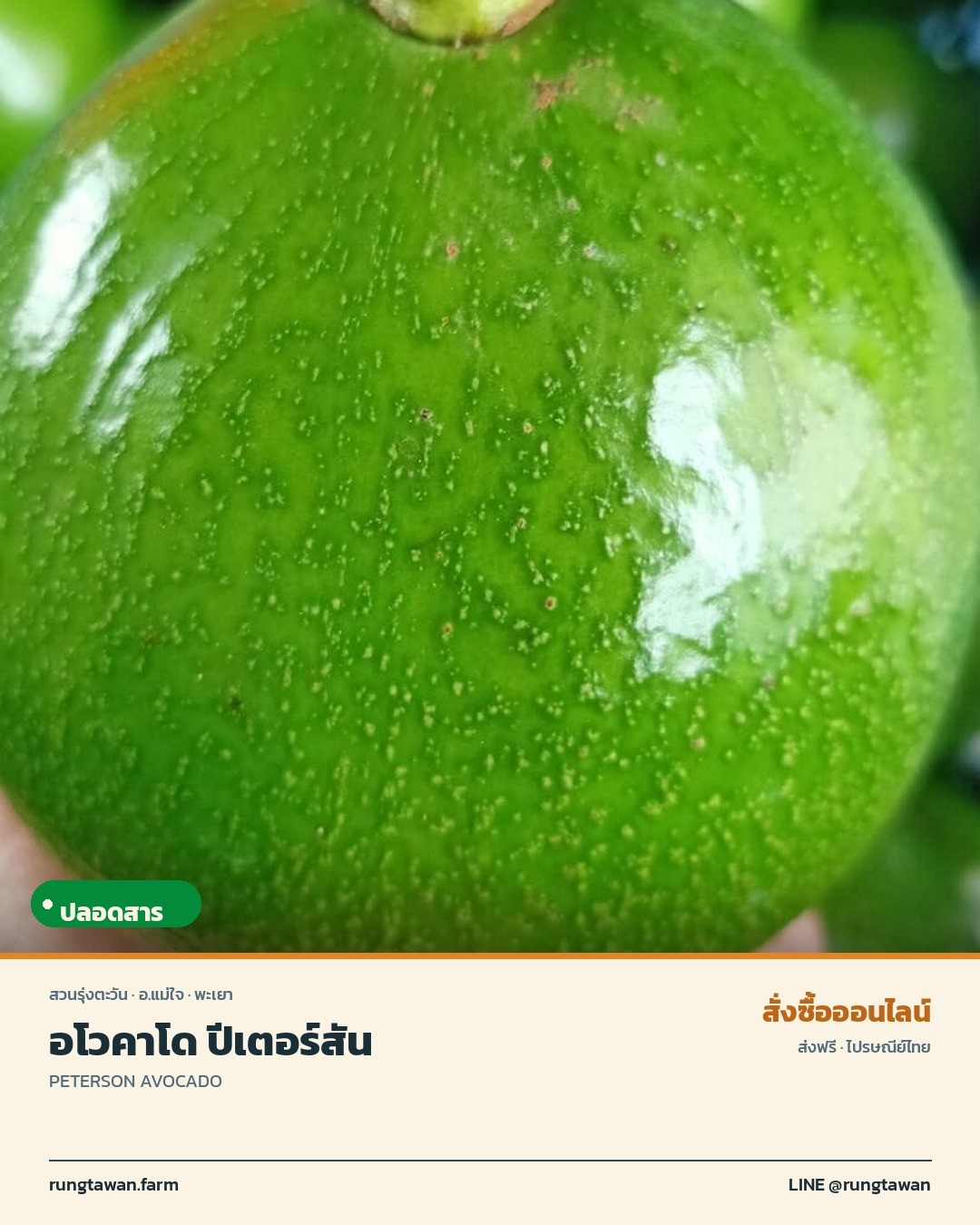 อะโวคาโดปีเตอร์สัน ราคาเท่าไหร่ อร่อยไหม